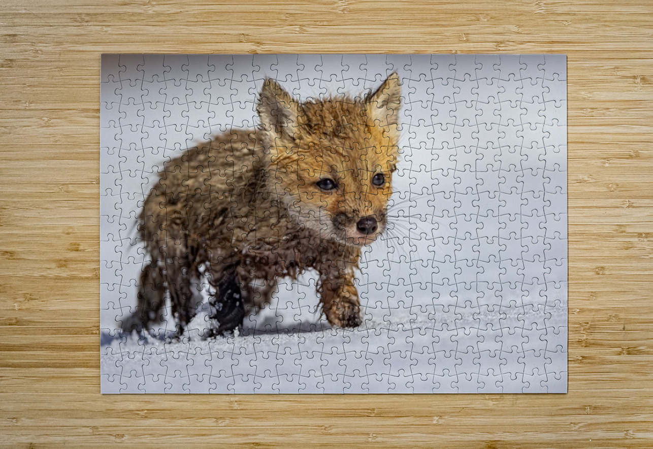 Braveheart Ilana Vargulich Puzzle printing