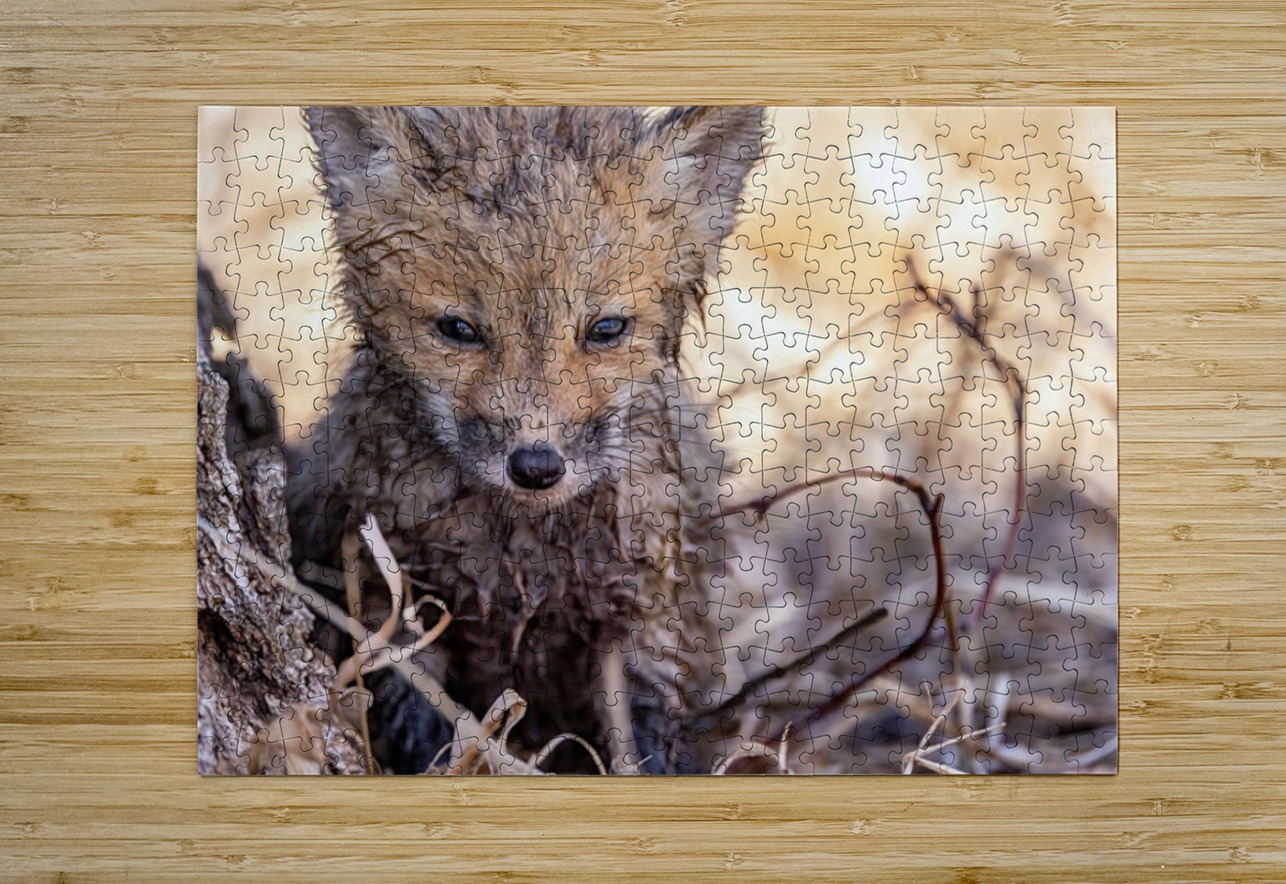 Braveheart 2 Ilana Vargulich Puzzle printing