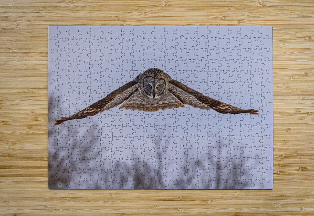 GGO 16 Ilana Vargulich Puzzle printing