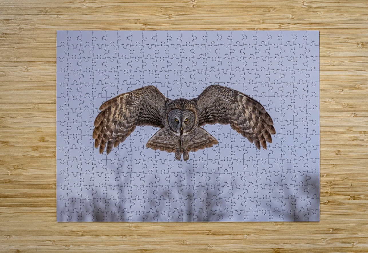 GGO 17 Ilana Vargulich Puzzle printing