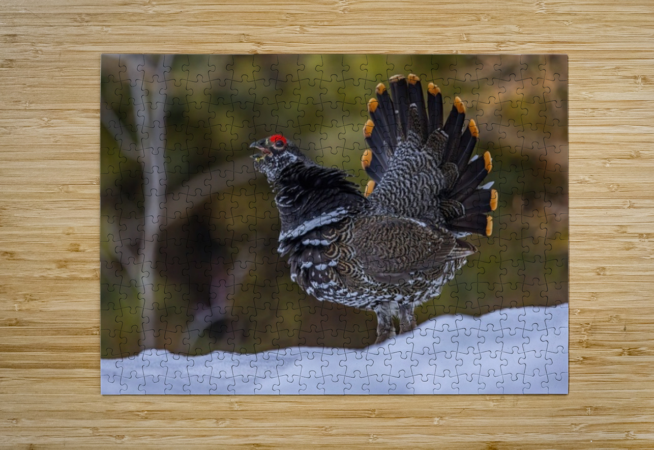Spruce Grouse 2 Ilana Vargulich Puzzle printing