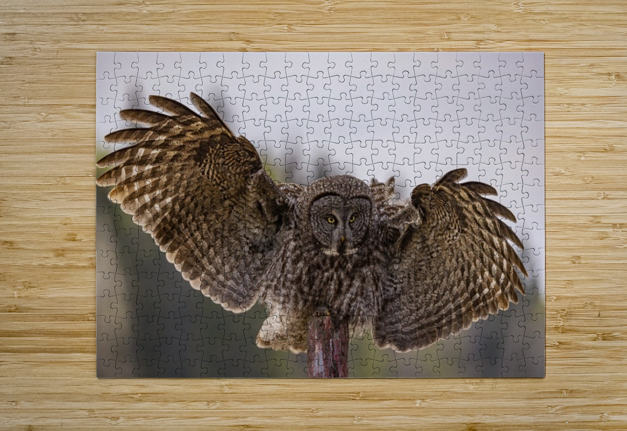 GGO 18 Ilana Vargulich Puzzle printing