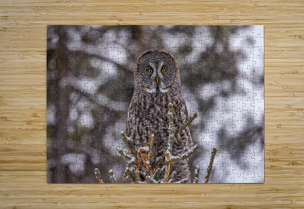 GGO 19 Ilana Vargulich Puzzle printing