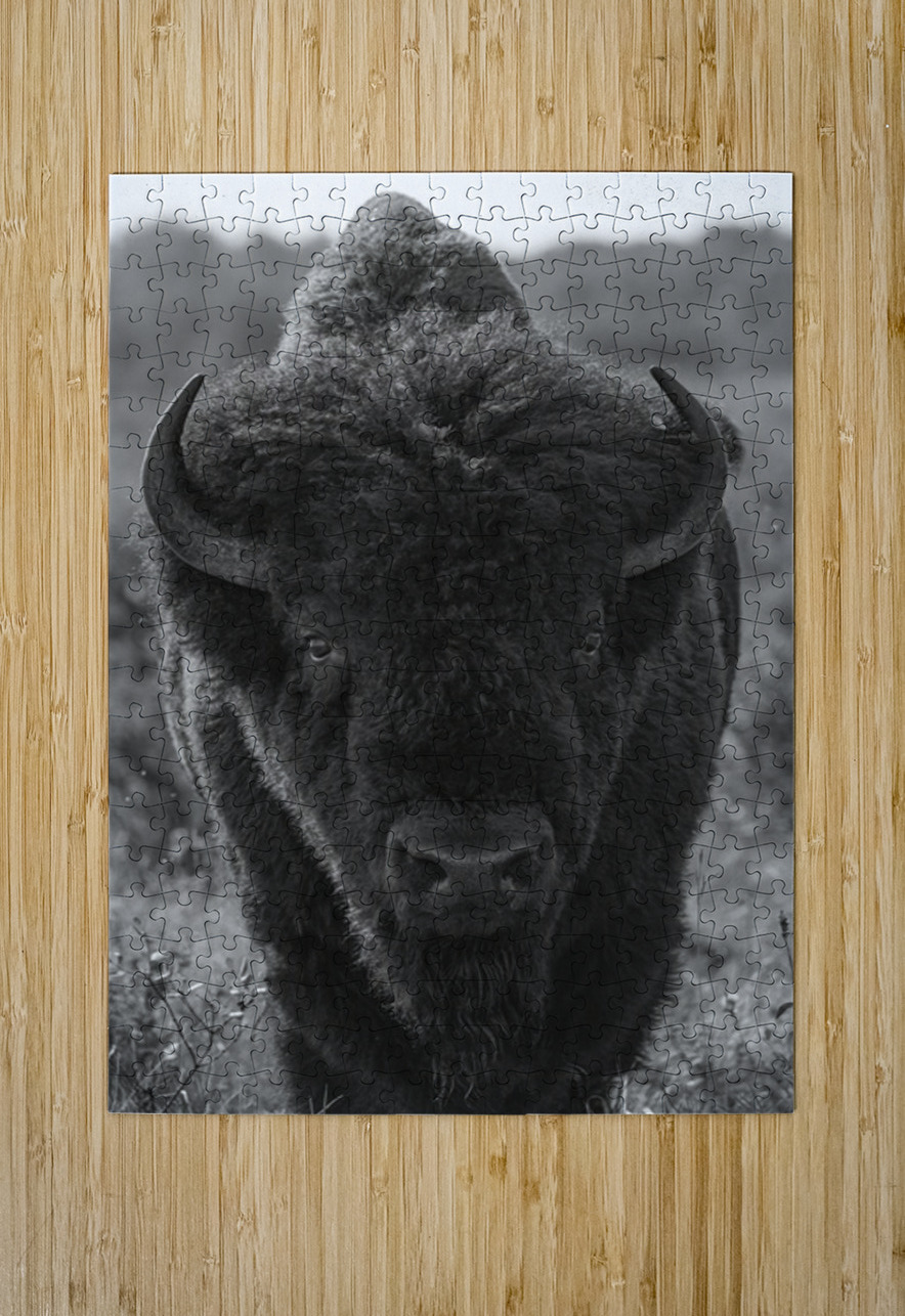 Bison BW 2 Ilana Vargulich Puzzle printing