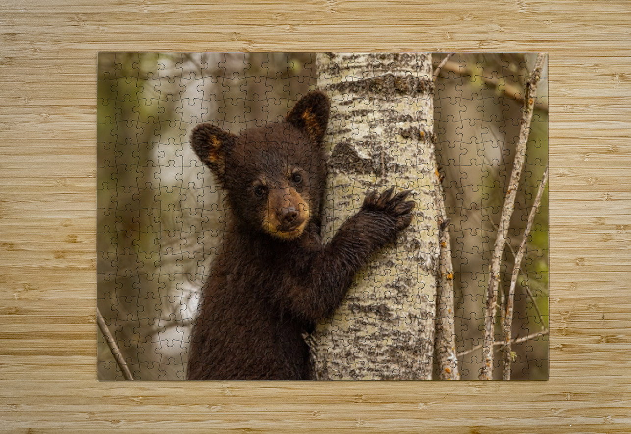 Cute Bear Cub Ilana Vargulich Puzzle printing