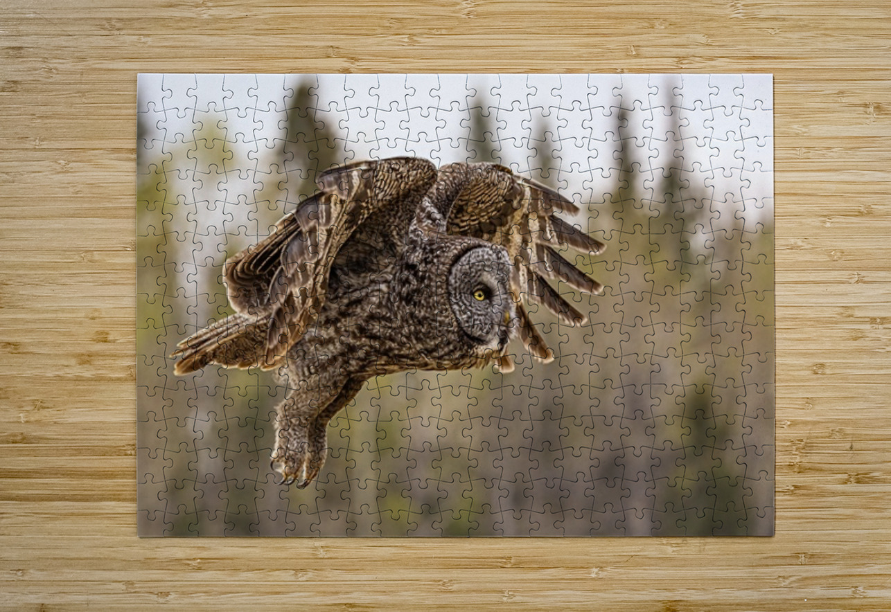 GGO 20 Ilana Vargulich Puzzle printing