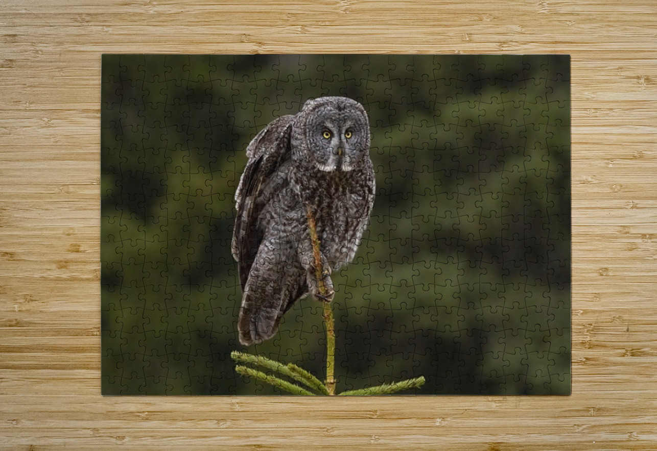 GGO 21 Ilana Vargulich Puzzle printing