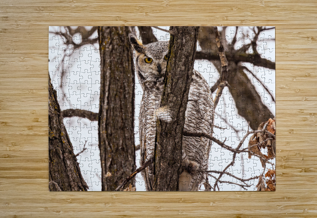 GHO 2 Ilana Vargulich Puzzle printing