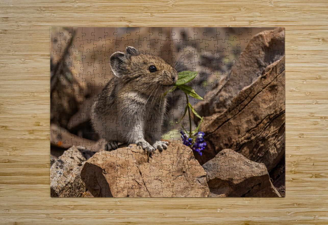 Cute Pika Ilana Vargulich Puzzle printing
