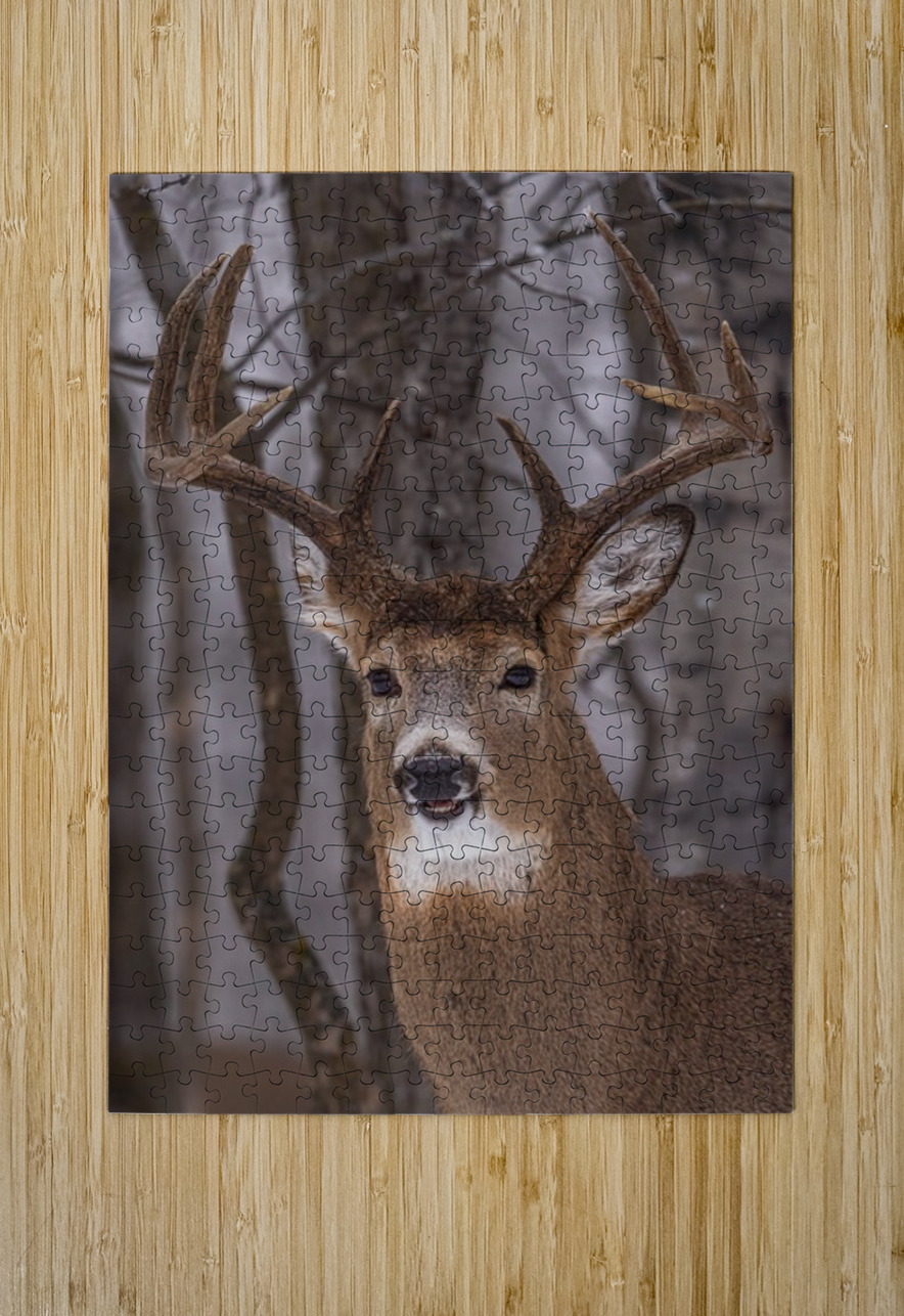 Buck Portrait Ilana Vargulich Puzzle printing