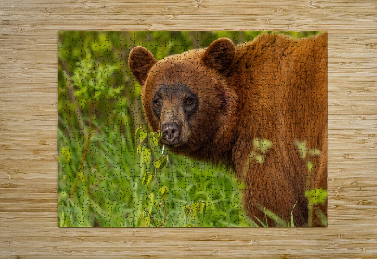 Cool Face Ilana Vargulich Puzzle printing