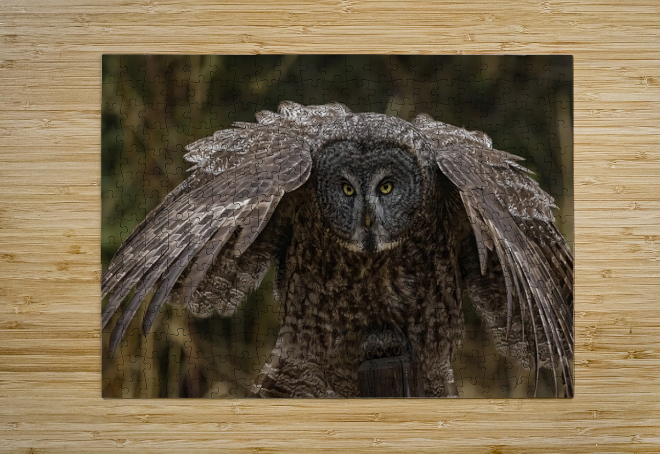 GGO 22 Ilana Vargulich Puzzle printing