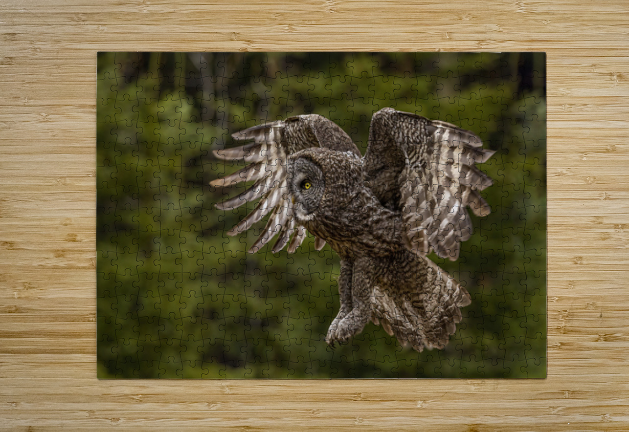 GGO 23 Ilana Vargulich Puzzle printing