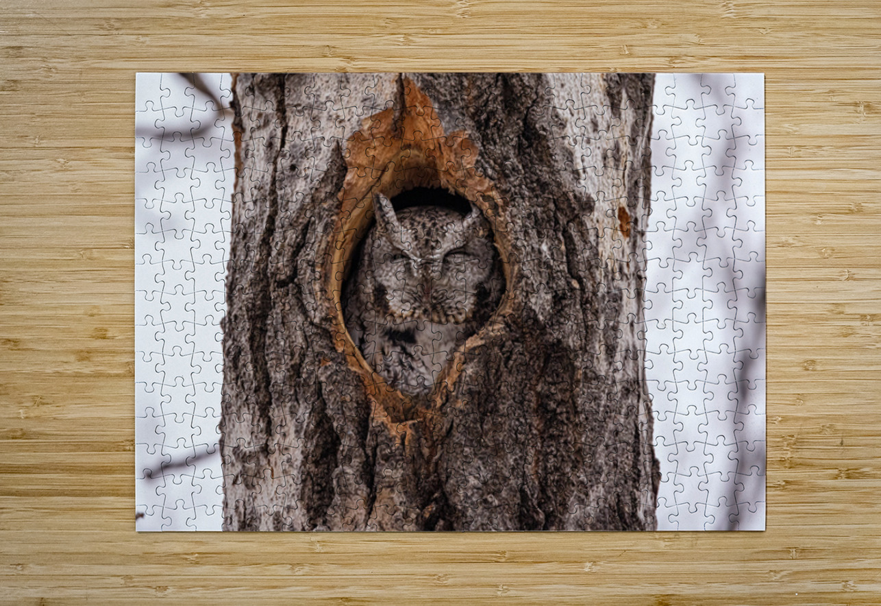 Screech Owl Ilana Vargulich Puzzle printing