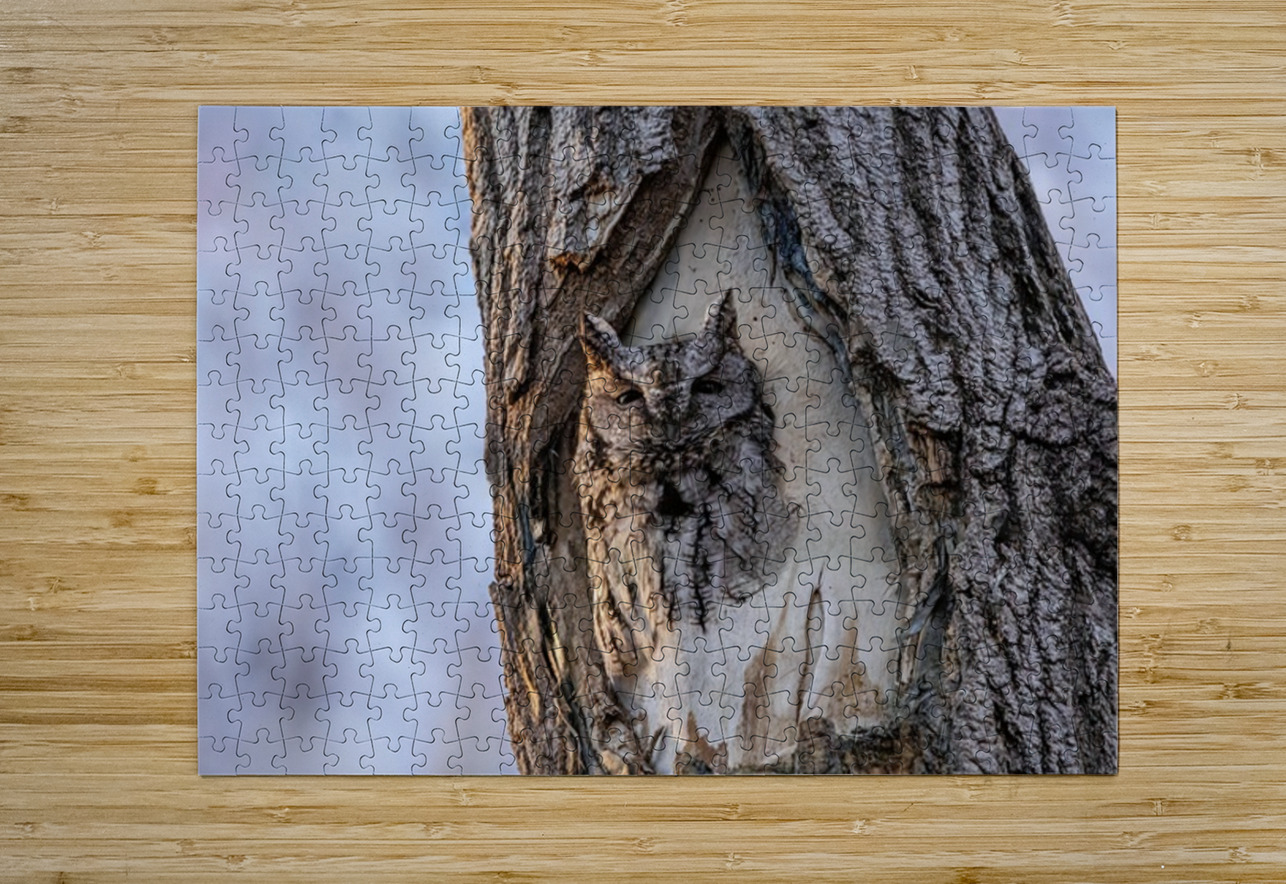 Screech Ilana Vargulich Puzzle printing