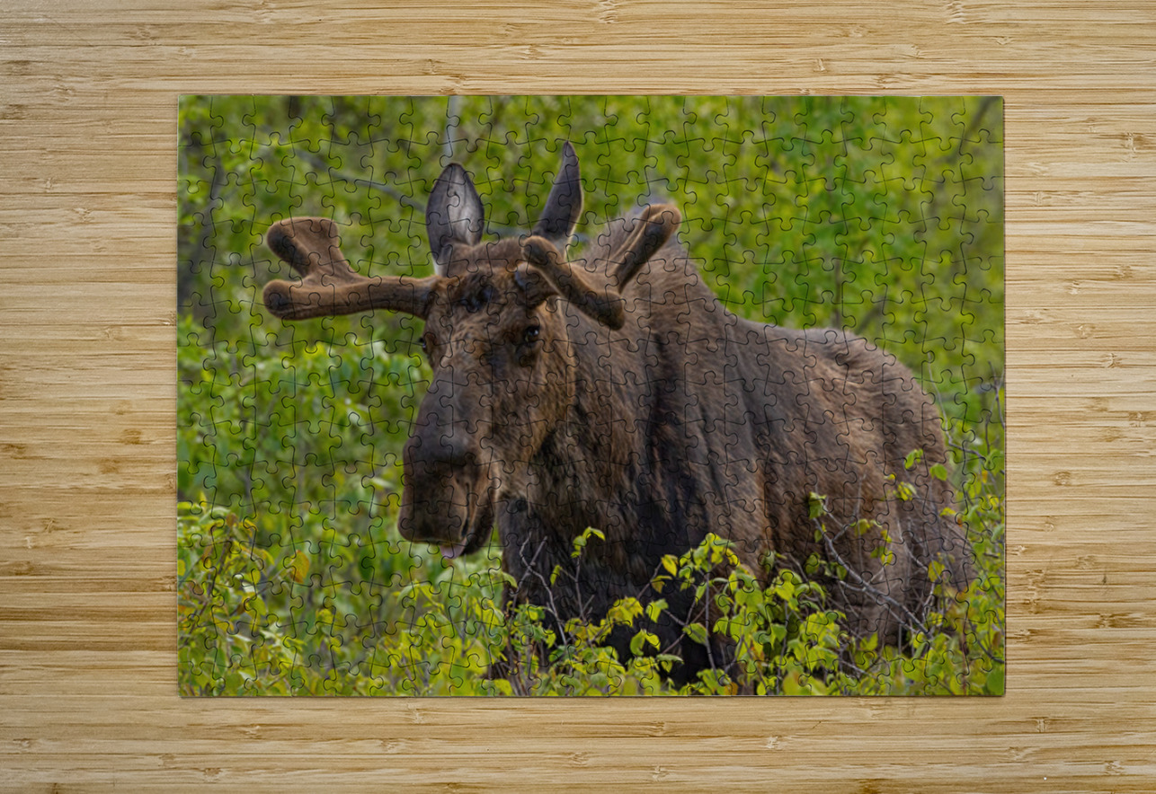 Big Boy Ilana Vargulich Puzzle printing