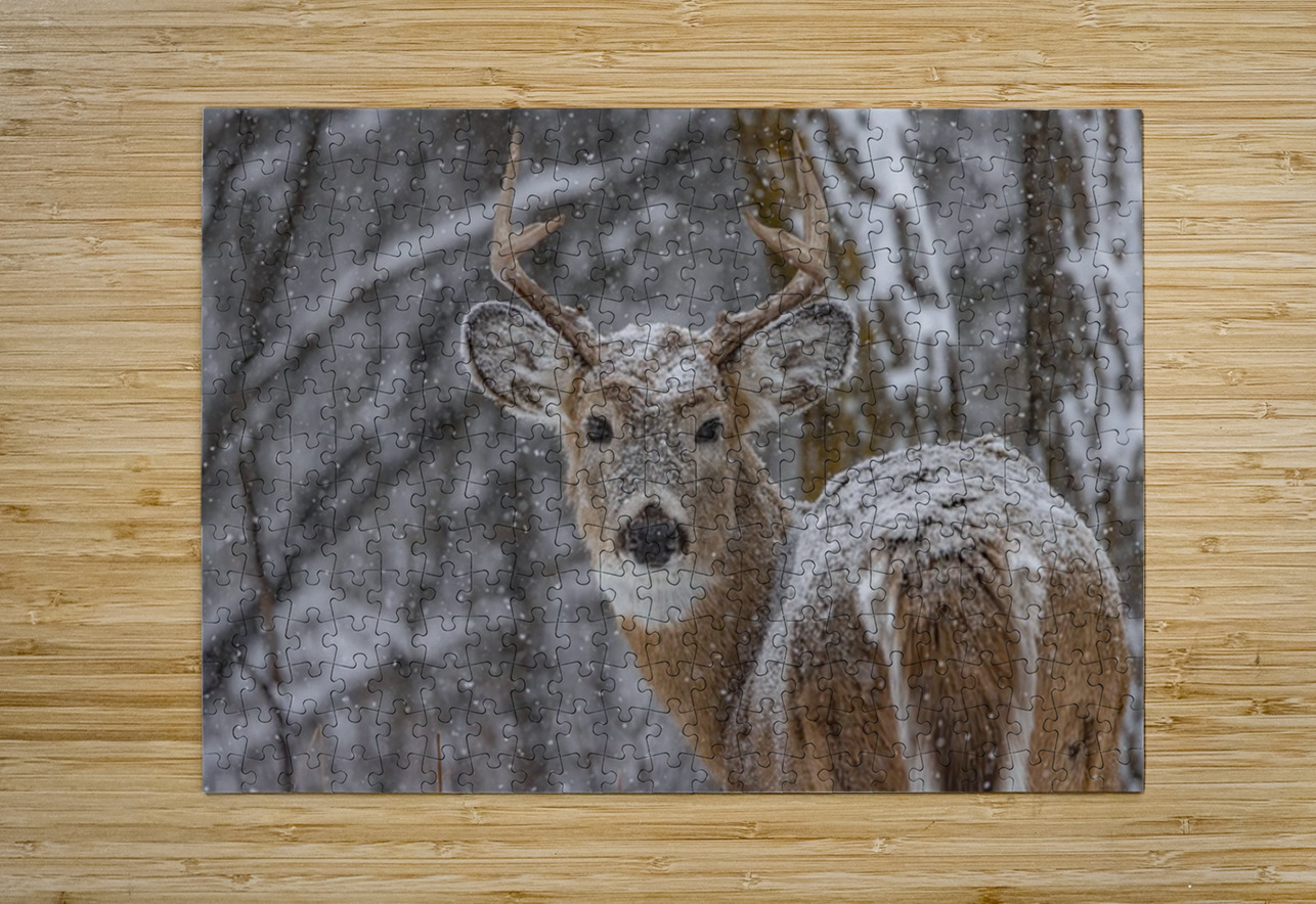 Deer Winter Love Ilana Vargulich Puzzle printing