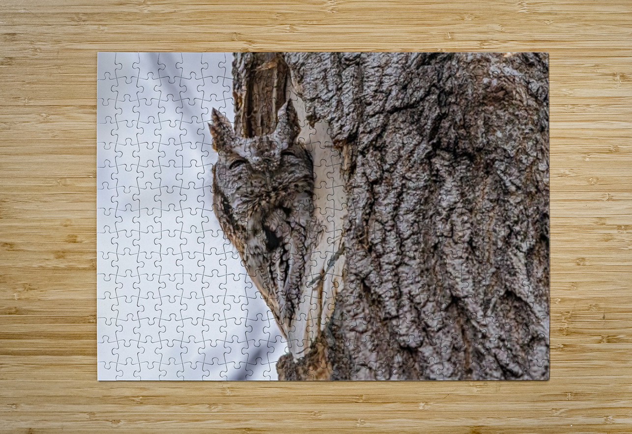 Screech 3 Ilana Vargulich Puzzle printing