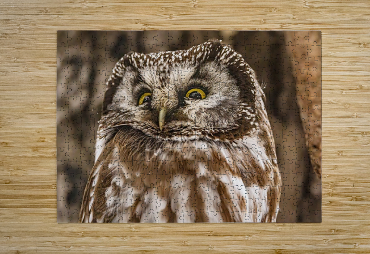 Boreal 2 Ilana Vargulich Puzzle printing