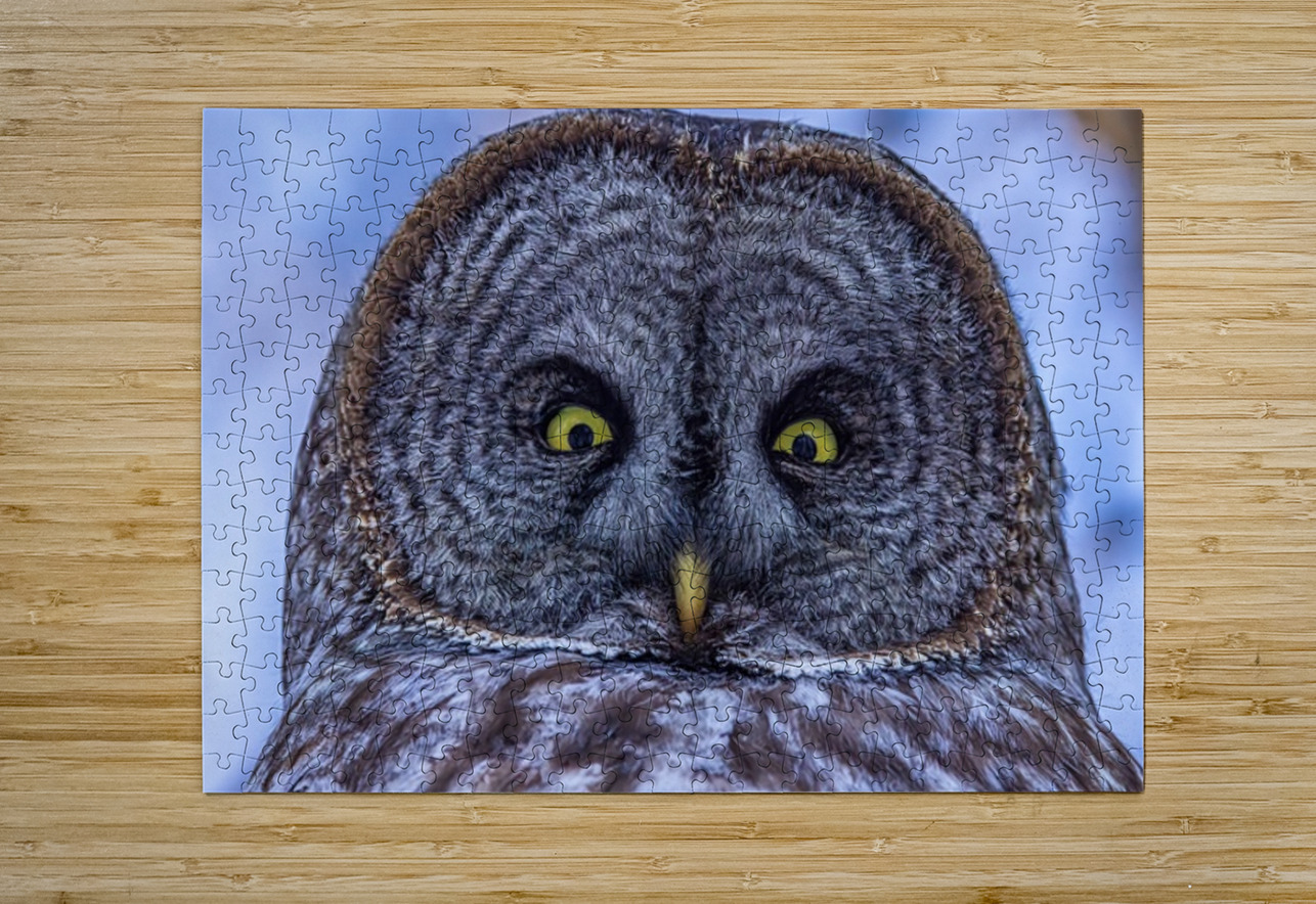 GGO 24 Ilana Vargulich Puzzle printing