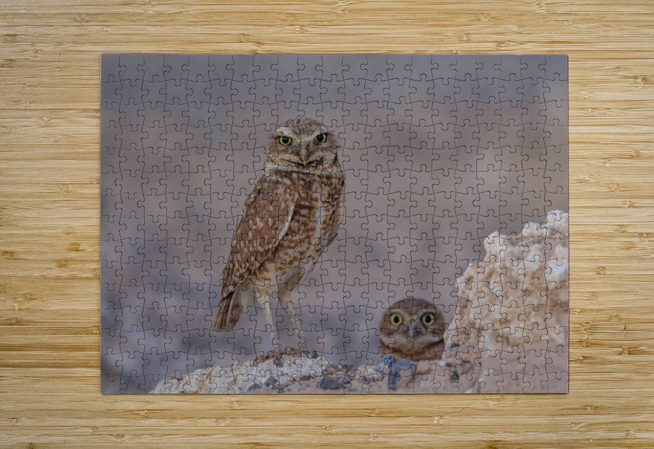 Burrowing Owl Ilana Vargulich Puzzle printing