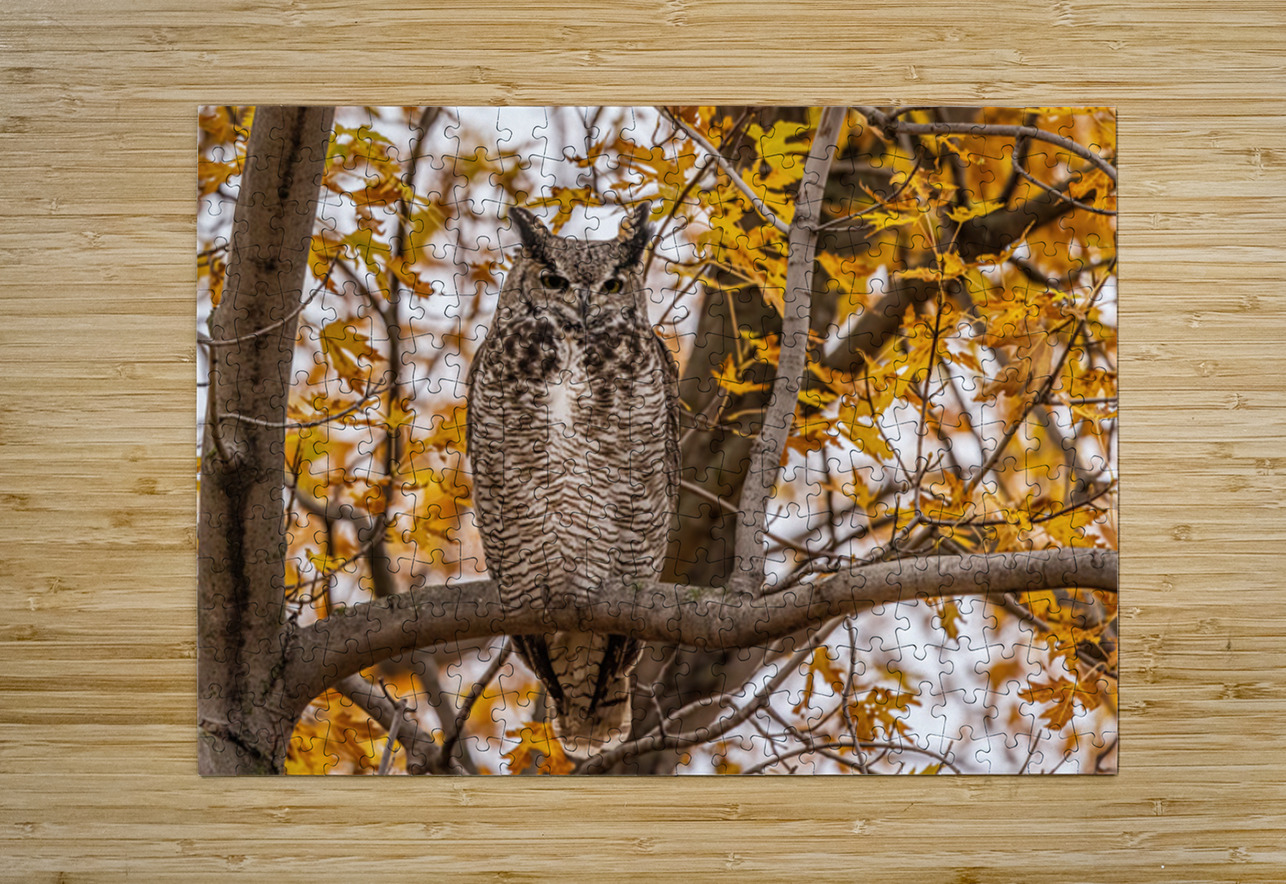 GHO 3 Ilana Vargulich Puzzle printing