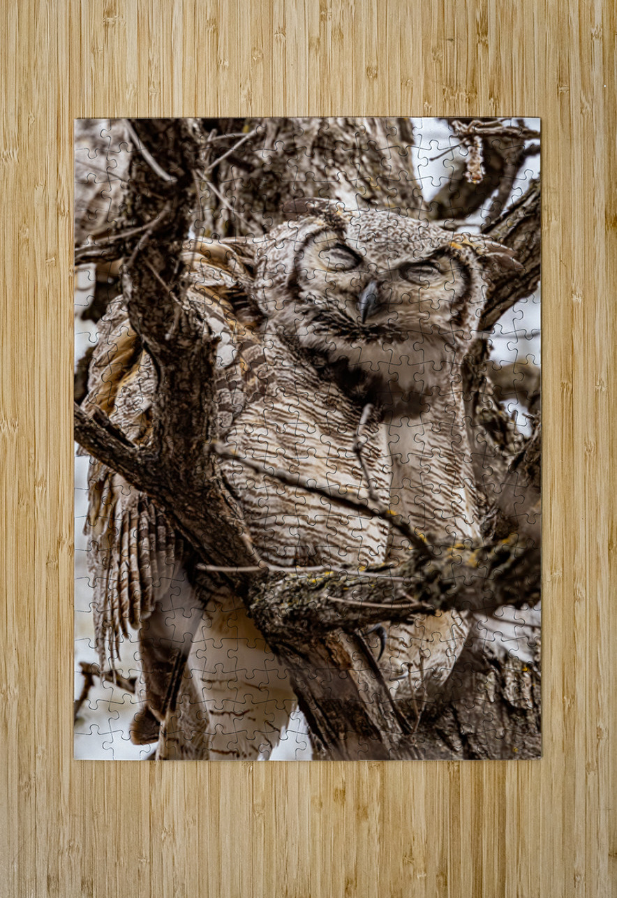 GHO 4 Ilana Vargulich Puzzle printing