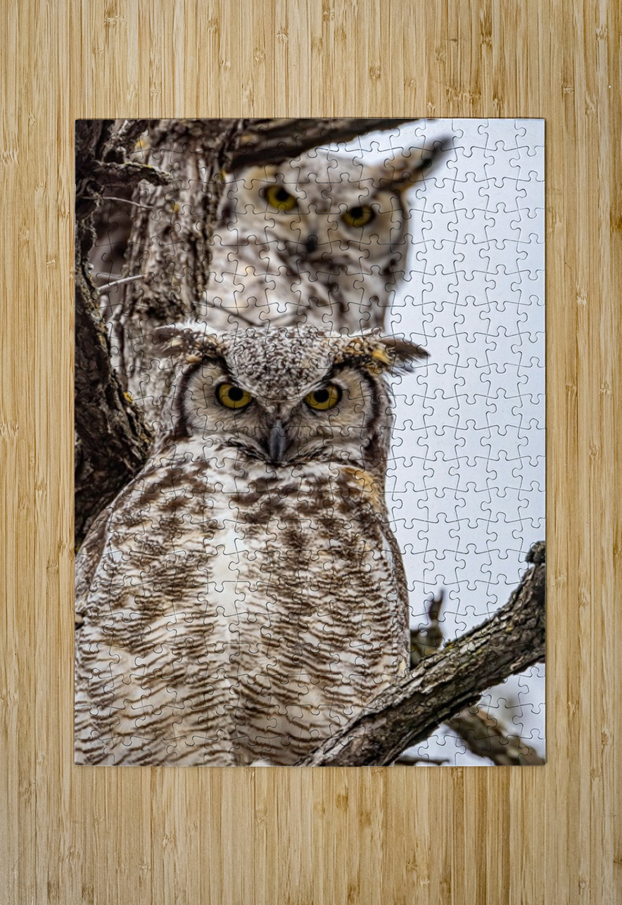 GHO Double Ilana Vargulich Puzzle printing