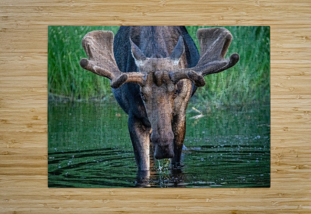 Big Boy 2 Ilana Vargulich Puzzle printing