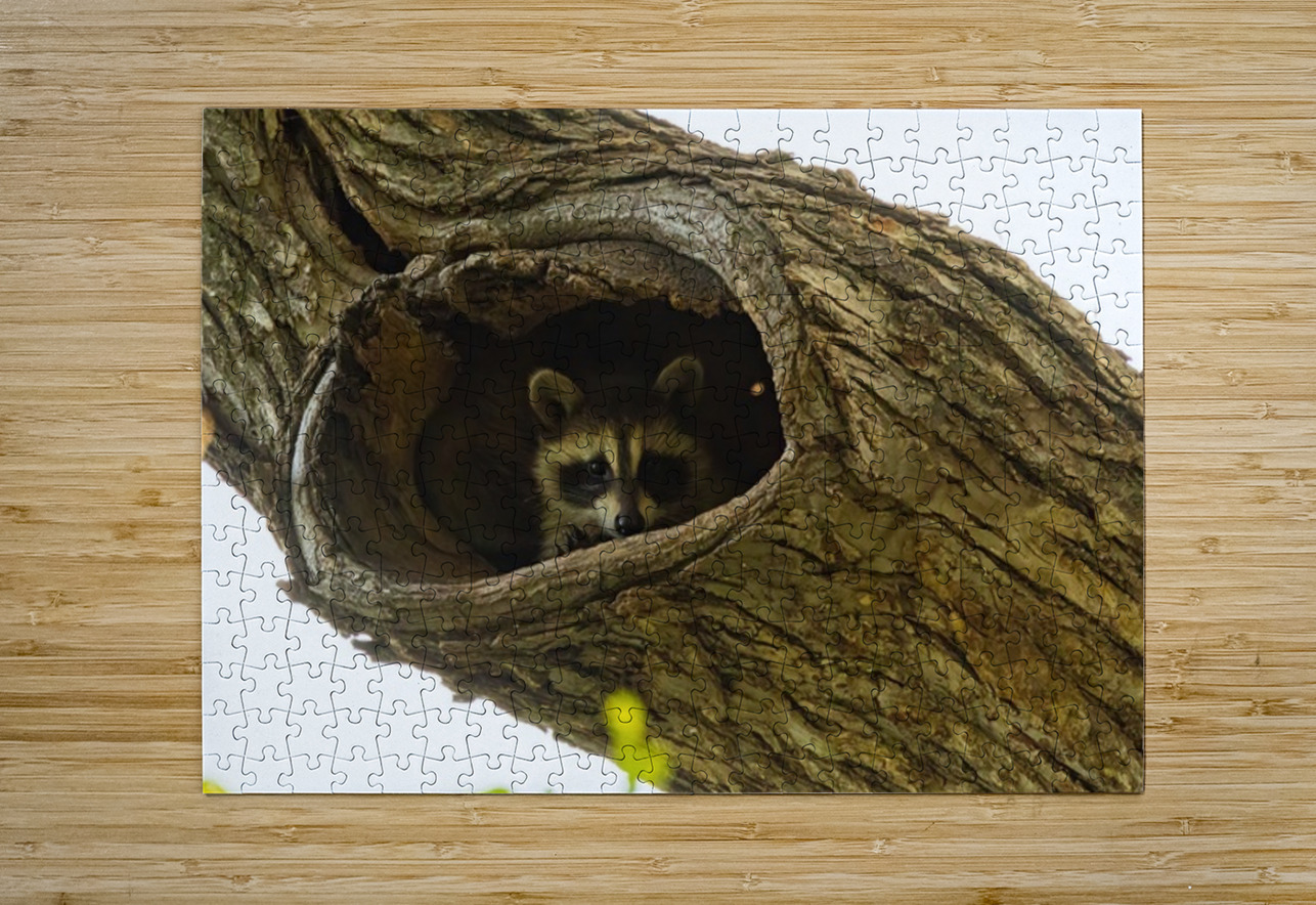 Racoon Ilana Vargulich Puzzle printing