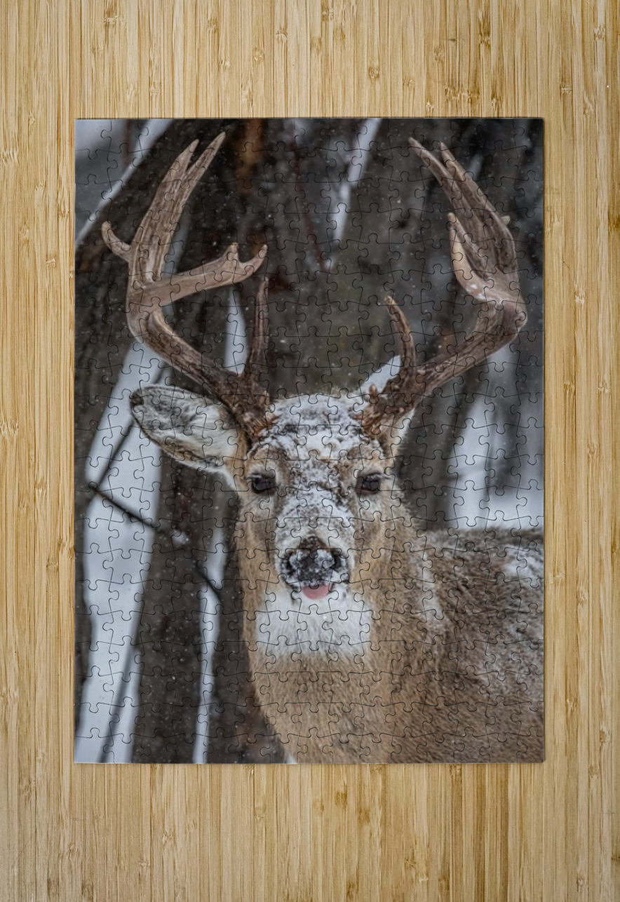 Big Buck Ilana Vargulich Puzzle printing