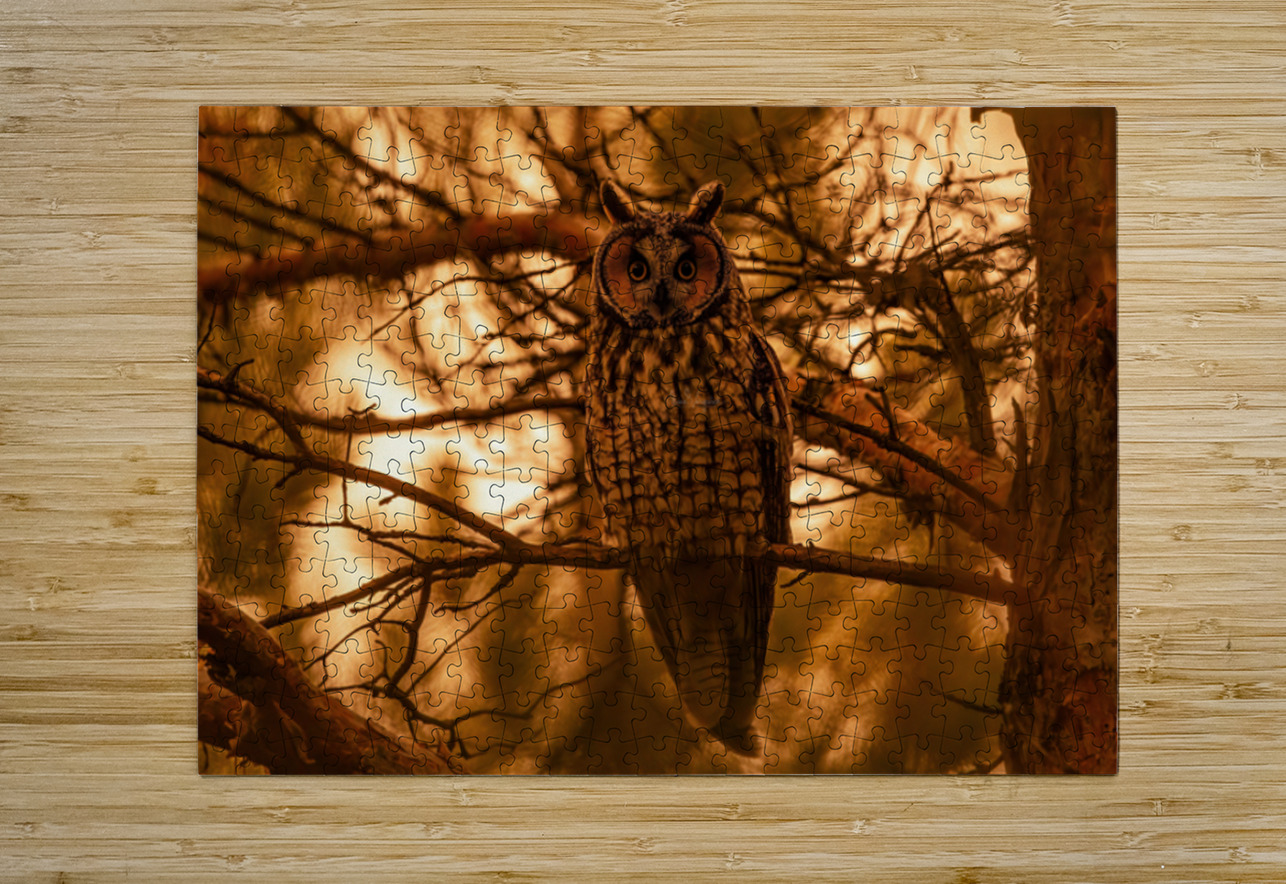 LEO Sunset Ilana Vargulich Puzzle printing