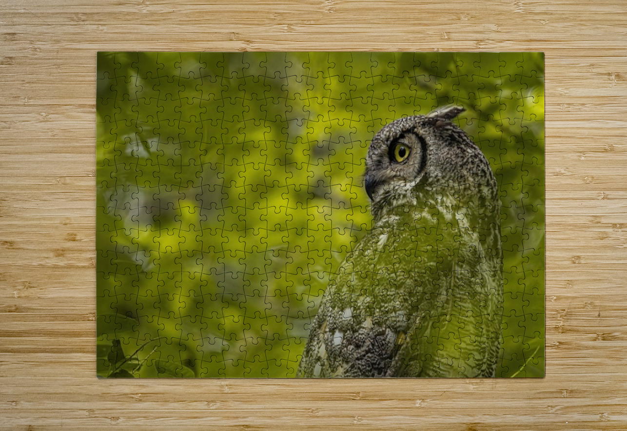 GHO 5 Ilana Vargulich Puzzle printing