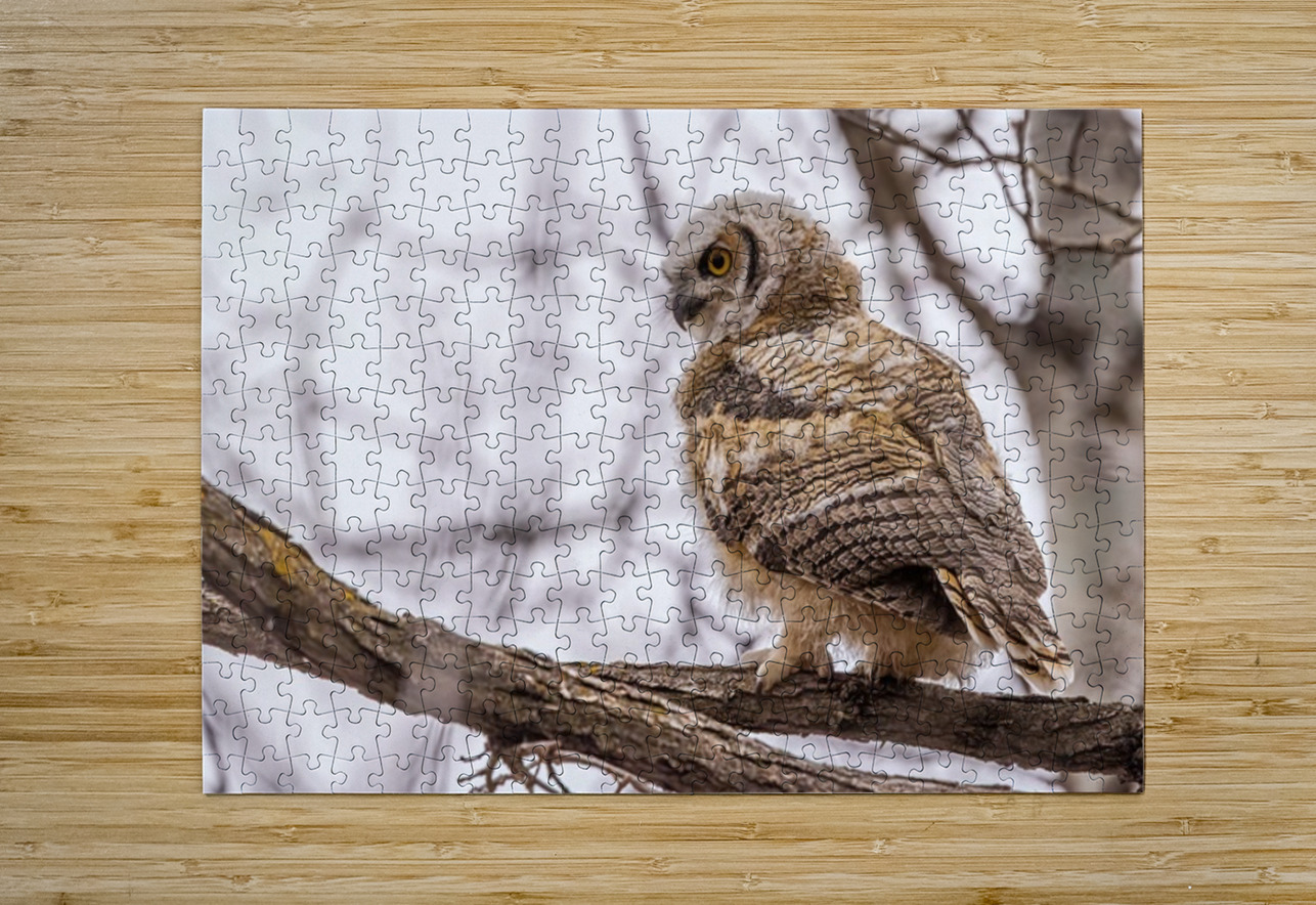 GHOwlet Ilana Vargulich Puzzle printing