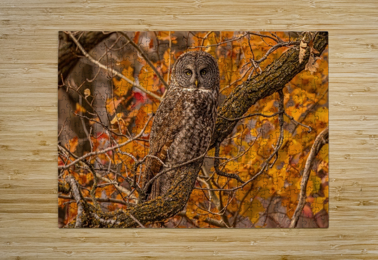 GGO 25 Ilana Vargulich Puzzle printing