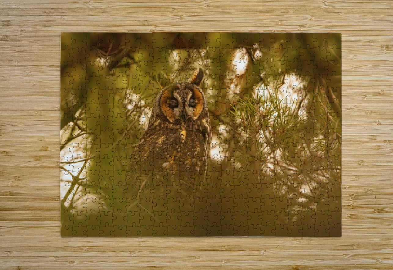 LEO 2 Ilana Vargulich Puzzle printing