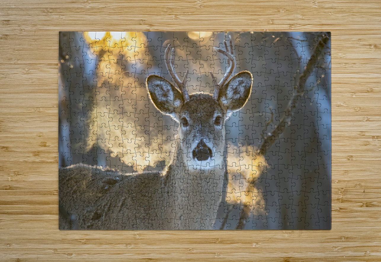 Young Buck Sunset Ilana Vargulich Puzzle printing