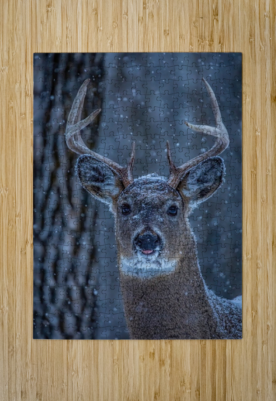 Buck Portrait 2 Ilana Vargulich Puzzle printing
