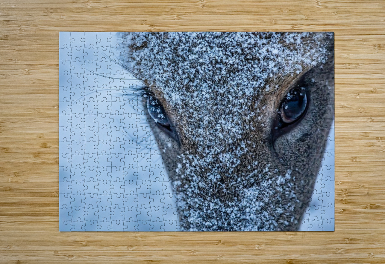 Deer Eye to Eye Ilana Vargulich Puzzle printing