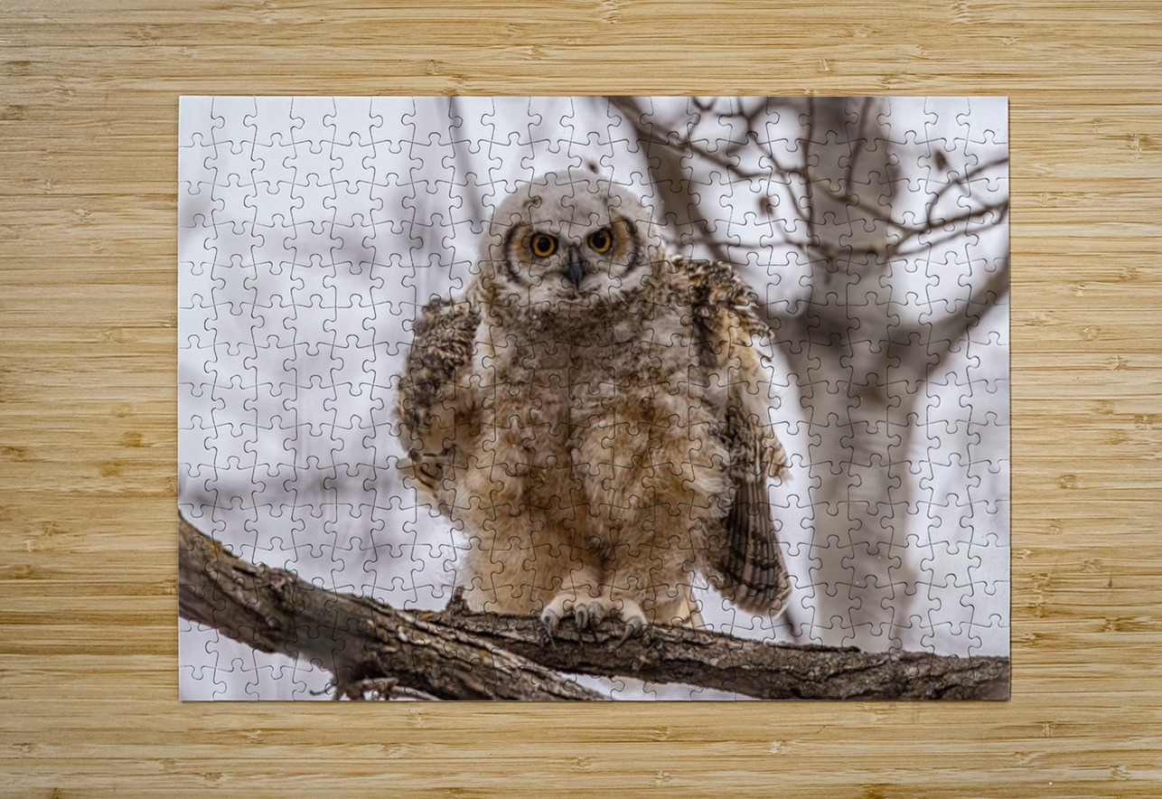 GHOwlet 2 Ilana Vargulich Puzzle printing