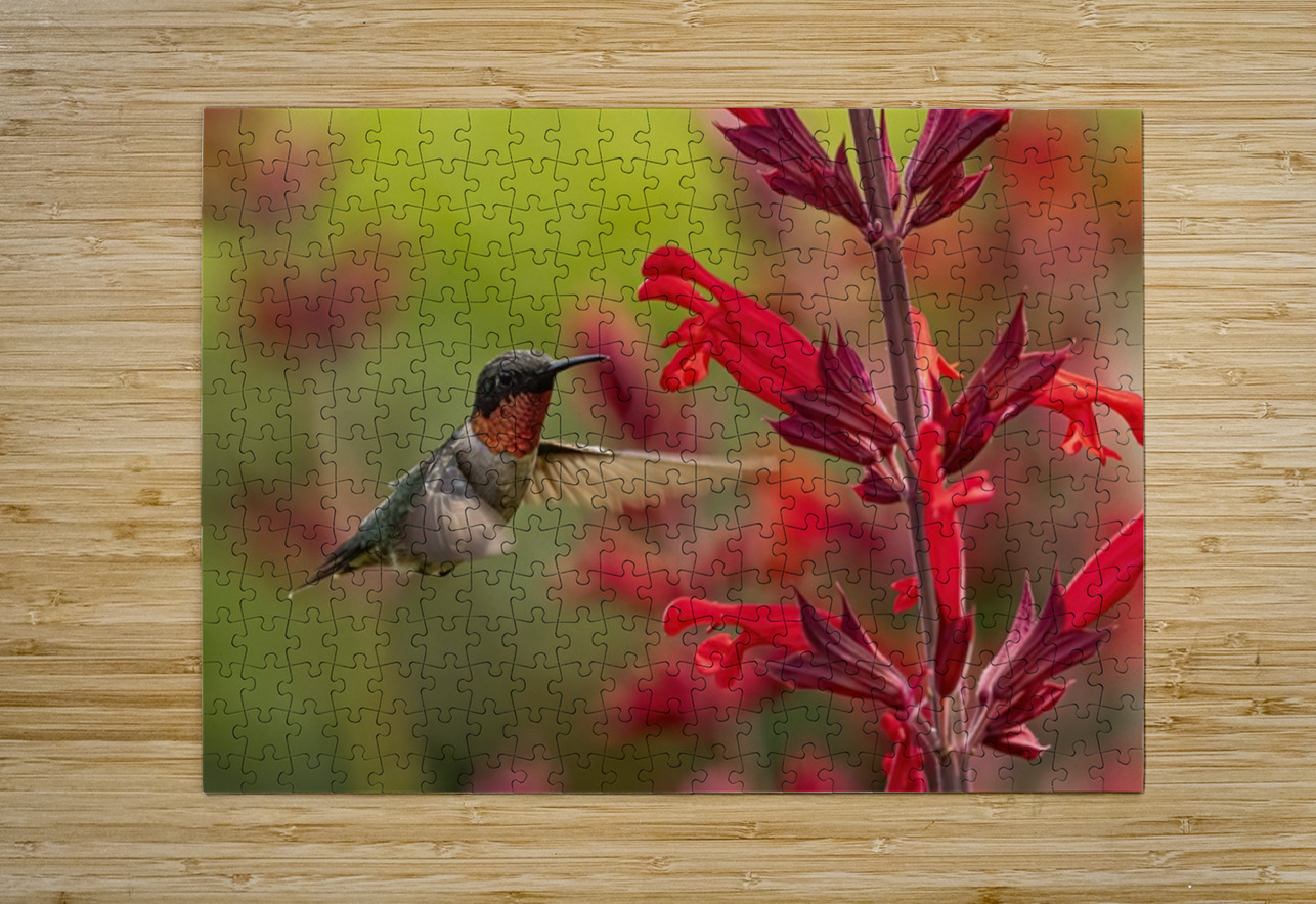 Hummer Ilana Vargulich Puzzle printing