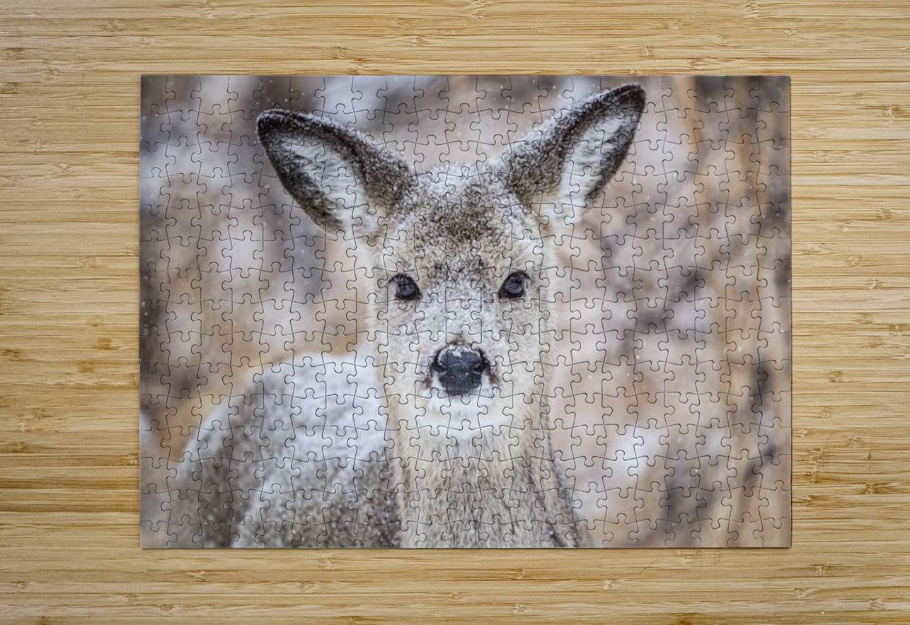 Cute Deer Ilana Vargulich Puzzle printing