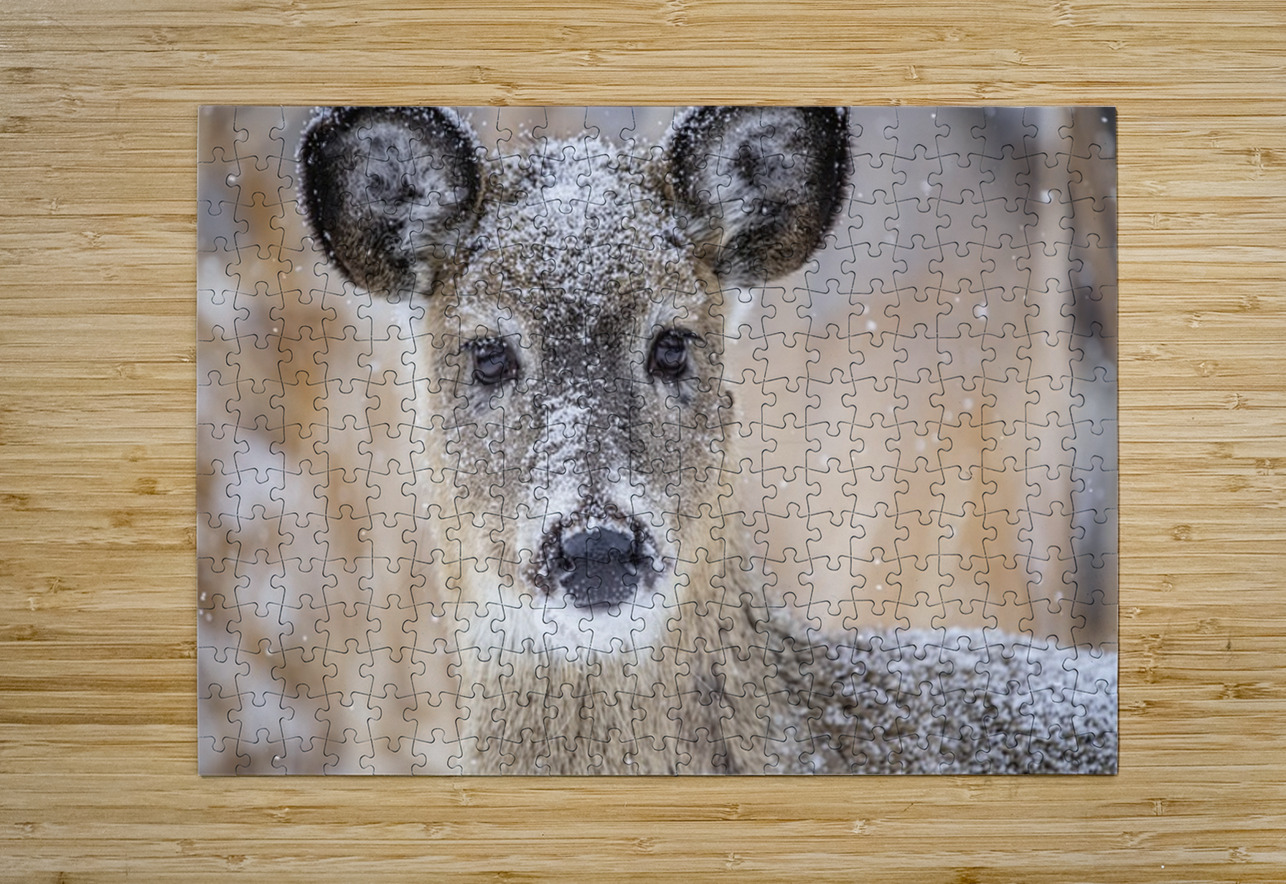 Cute Deer 2 Ilana Vargulich Puzzle printing