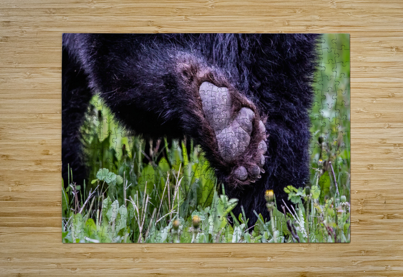 Bear Foot Ilana Vargulich Puzzle printing