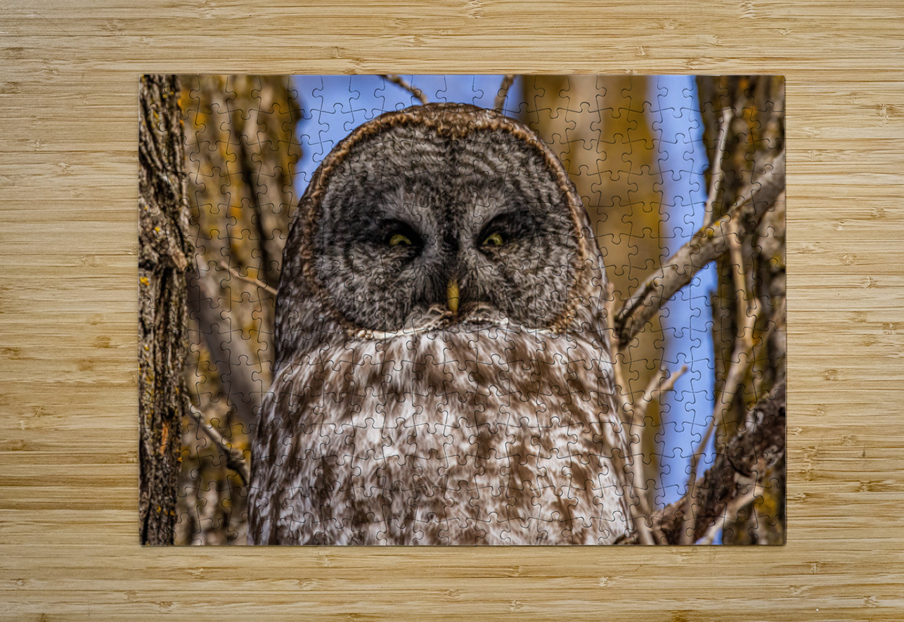 GGO 26 Ilana Vargulich Puzzle printing