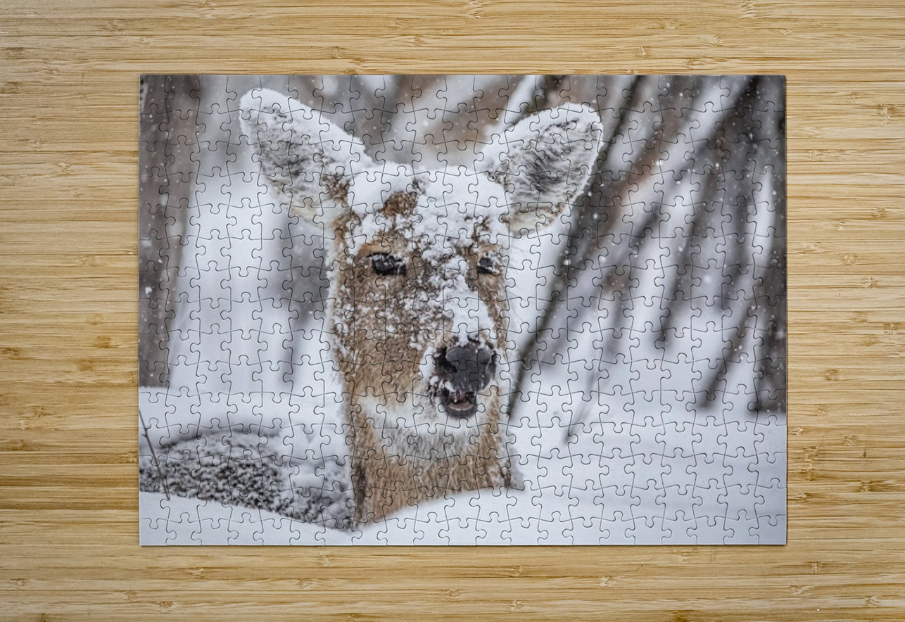 Funny Deer Ilana Vargulich Puzzle printing