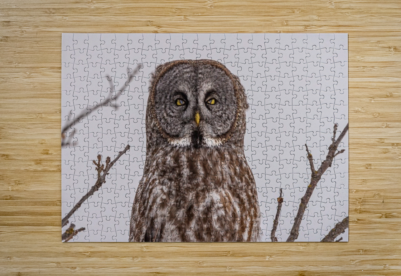 GGO 27 Ilana Vargulich Puzzle printing