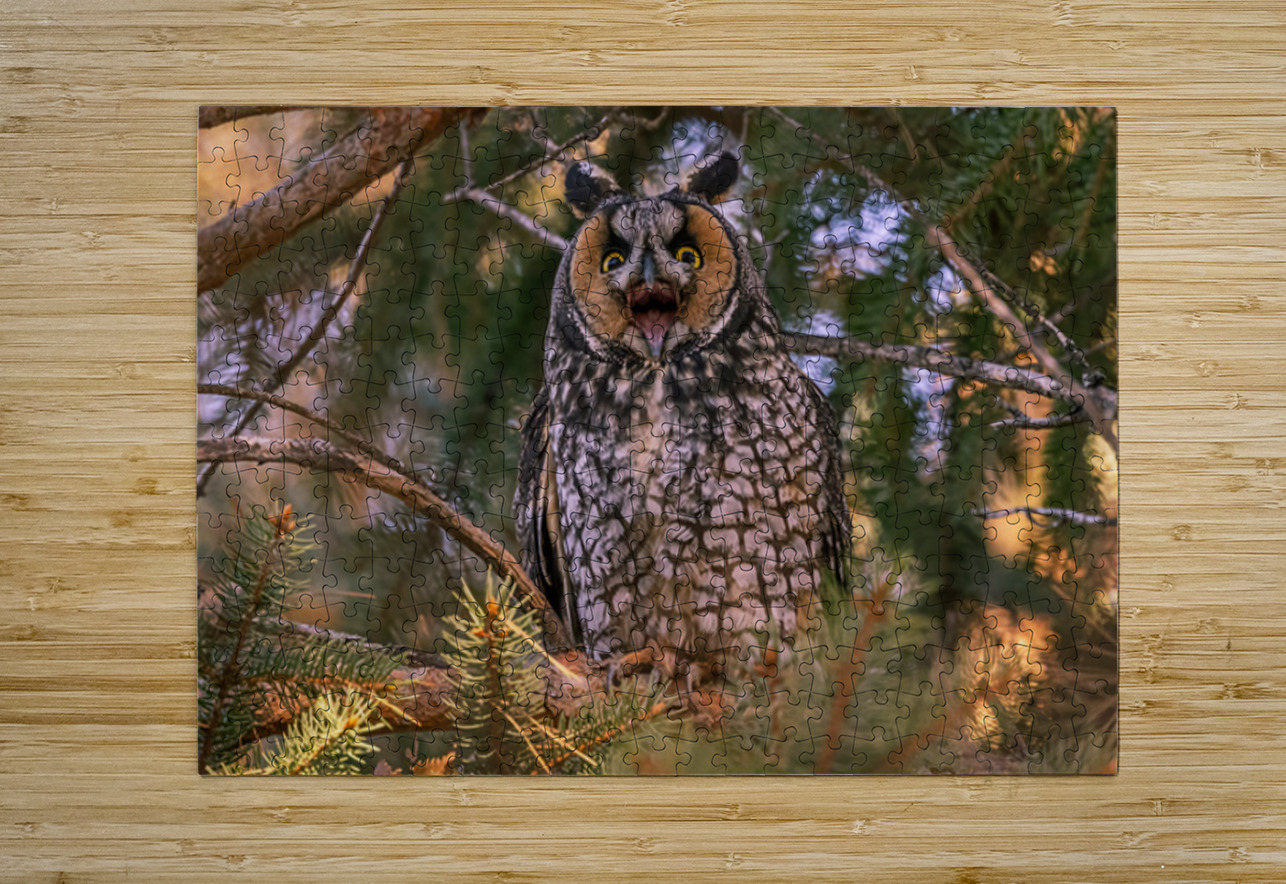 LEO 7 Ilana Vargulich Puzzle printing