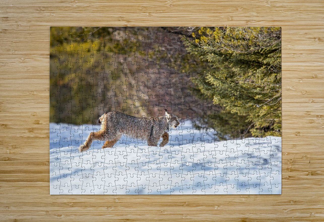 Lynx 3 Ilana Vargulich Puzzle printing