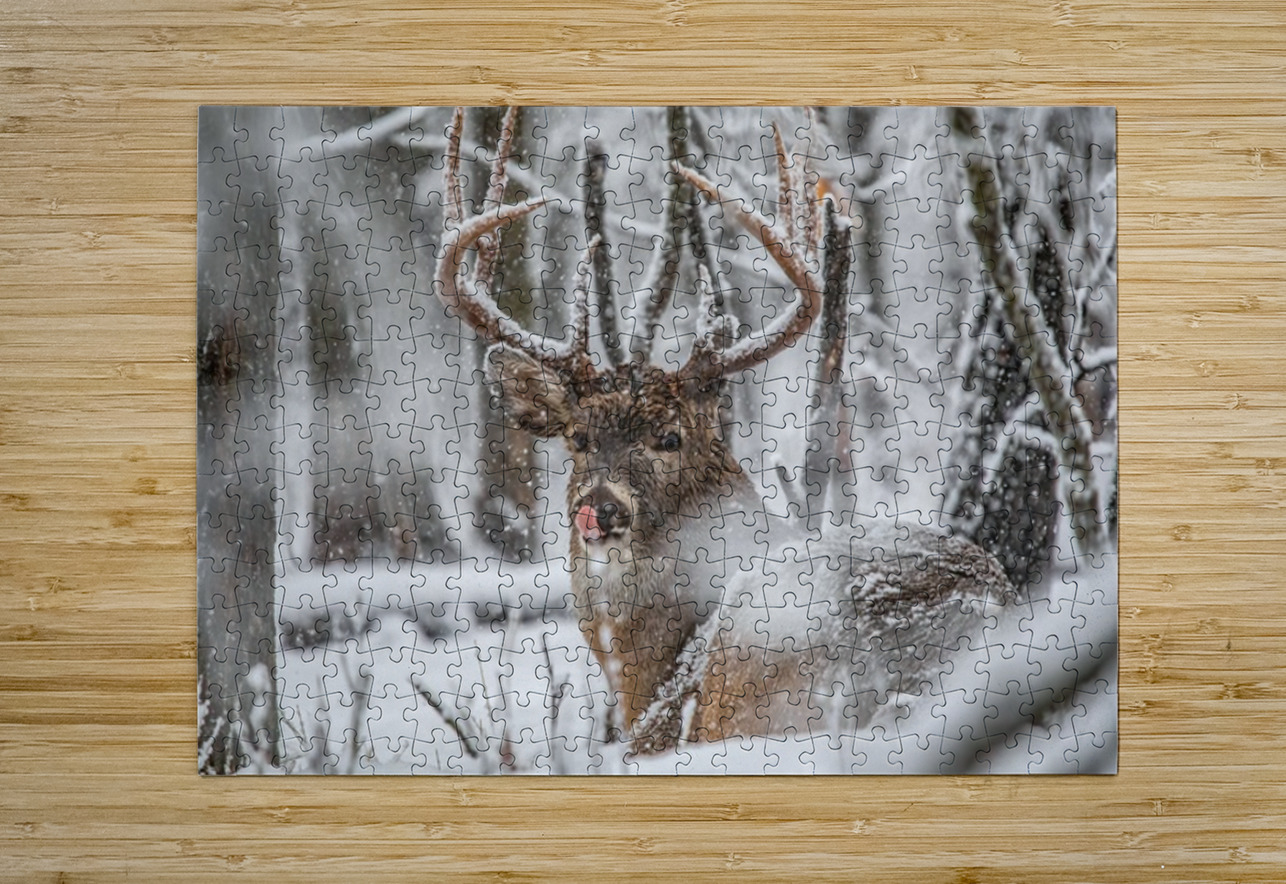 Buck Snowy Day Ilana Vargulich Puzzle printing